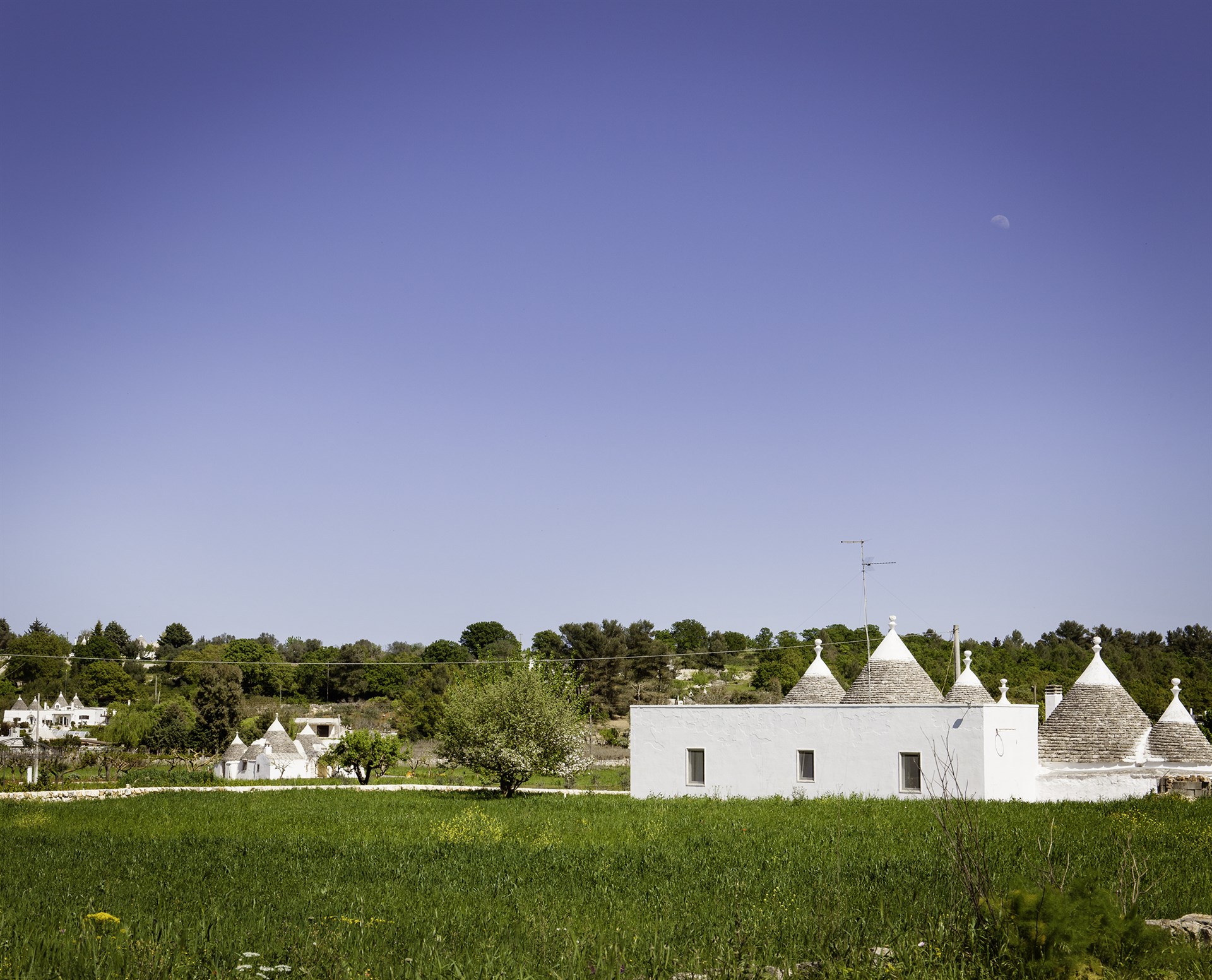 Visiting Valle d'Itria The Thinking Traveller